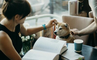 Resa utomlands med hund