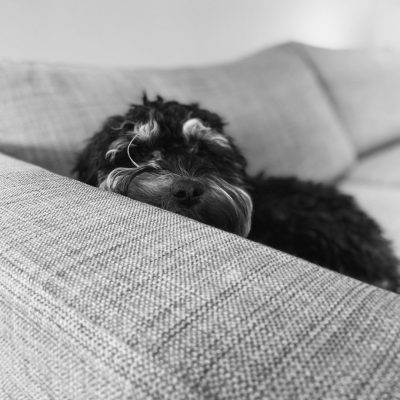 Hugo